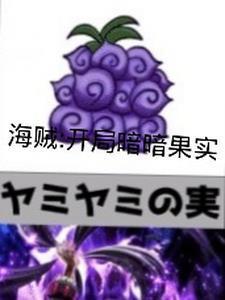 海贼开局获得暗暗果实