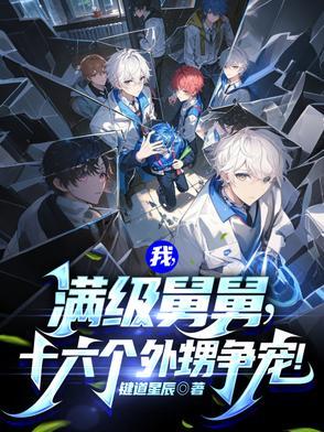 十六个外甥争宠短剧合集